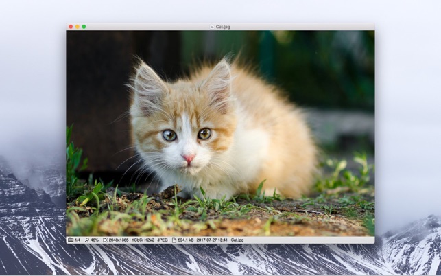 ‎Xee³: Image Viewer and Browser Screenshot