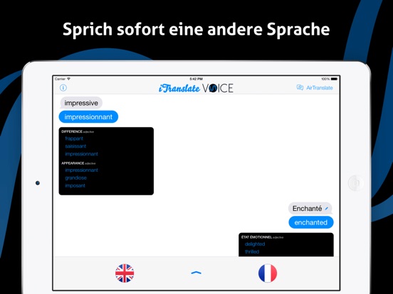 iTranslate Voice Lite Screenshot