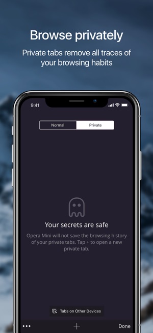 Opera Mini web browser Screenshot